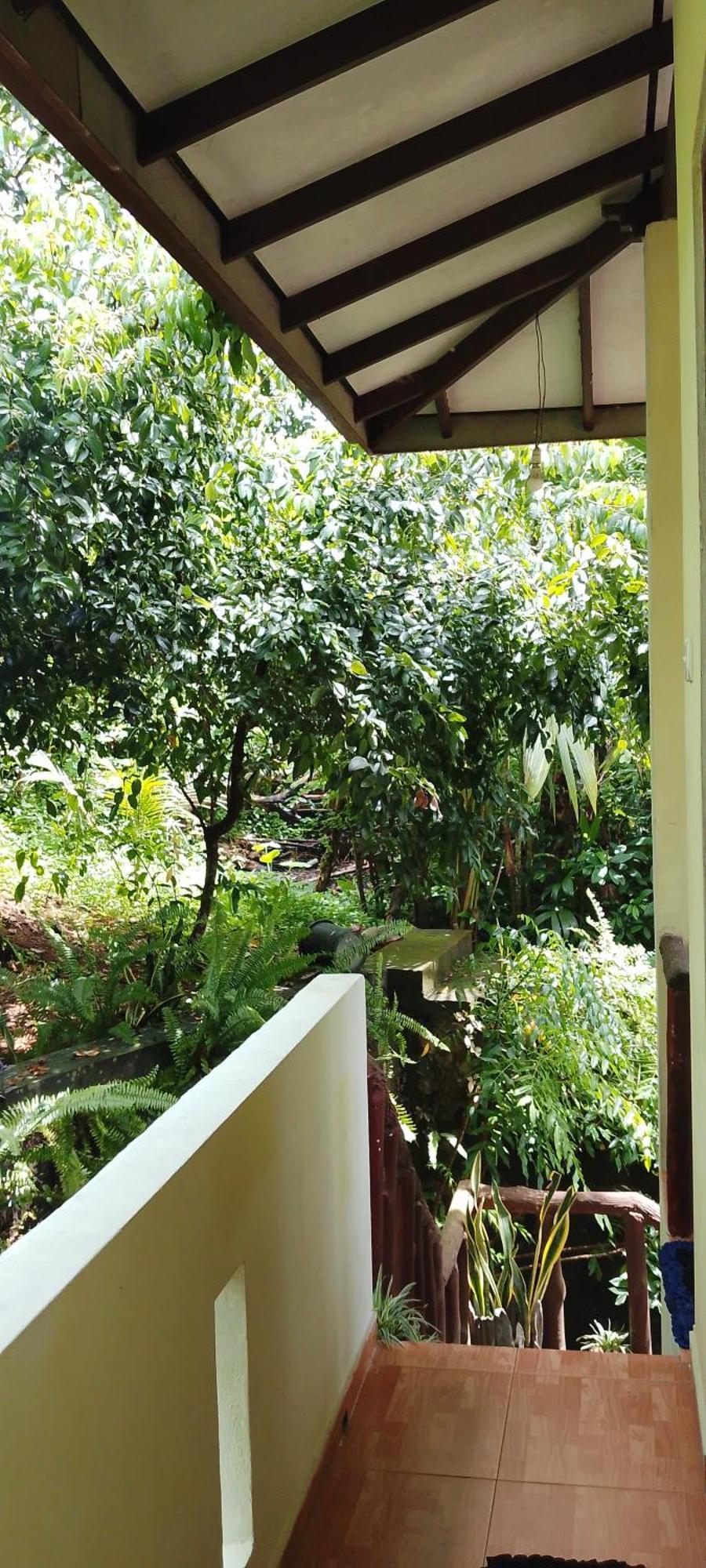 Ranga Villa Hikkaduwa Zimmer foto